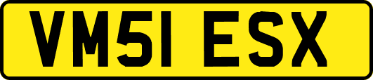 VM51ESX