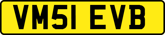 VM51EVB