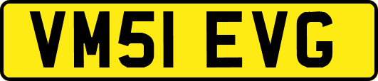 VM51EVG