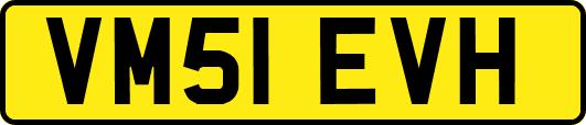 VM51EVH