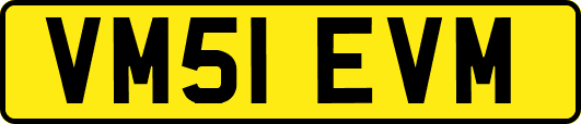 VM51EVM