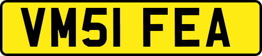 VM51FEA