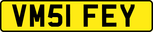 VM51FEY