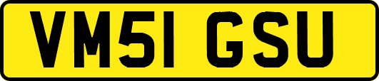 VM51GSU