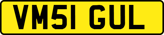 VM51GUL