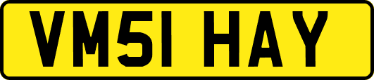 VM51HAY