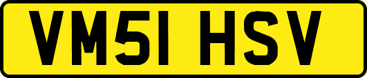 VM51HSV