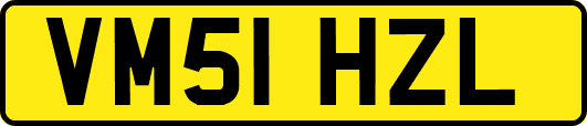 VM51HZL