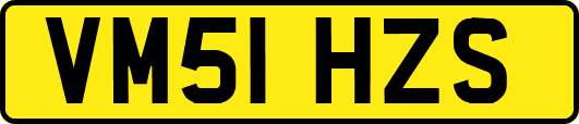 VM51HZS