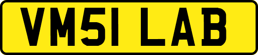 VM51LAB