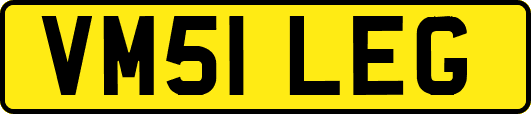 VM51LEG
