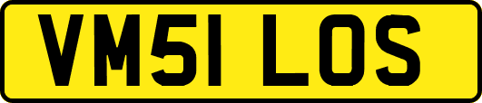VM51LOS