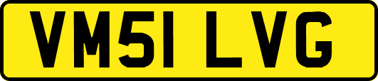 VM51LVG