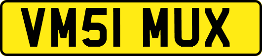VM51MUX