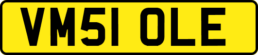 VM51OLE