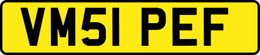 VM51PEF