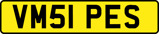 VM51PES