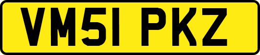 VM51PKZ