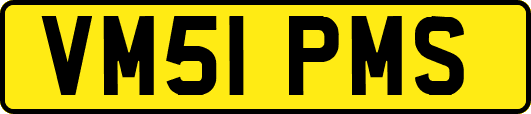 VM51PMS