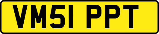 VM51PPT