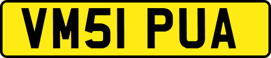 VM51PUA