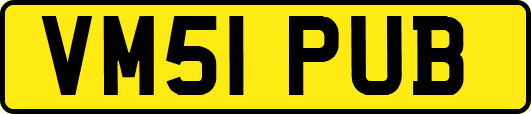 VM51PUB
