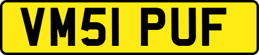 VM51PUF