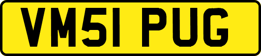 VM51PUG
