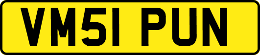 VM51PUN