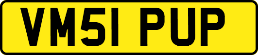 VM51PUP