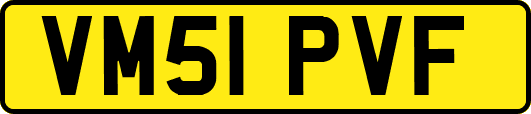 VM51PVF