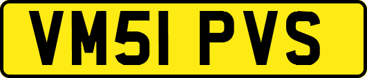 VM51PVS