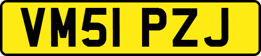 VM51PZJ