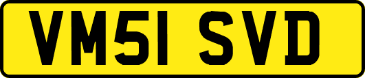 VM51SVD
