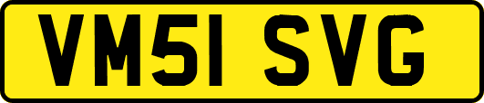 VM51SVG