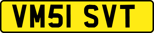 VM51SVT