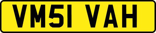 VM51VAH