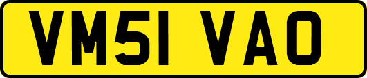 VM51VAO