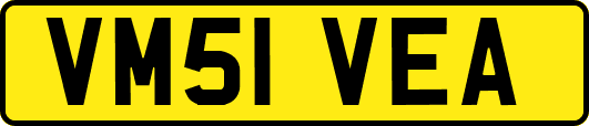 VM51VEA