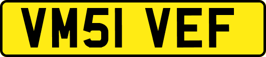 VM51VEF