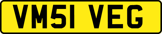 VM51VEG
