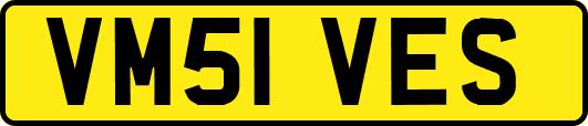 VM51VES