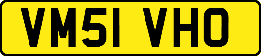 VM51VHO