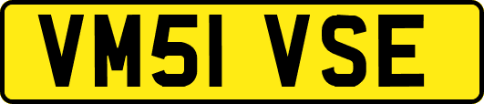 VM51VSE