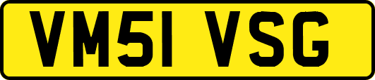 VM51VSG