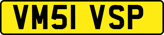 VM51VSP