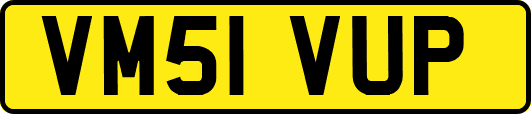 VM51VUP