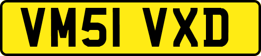 VM51VXD