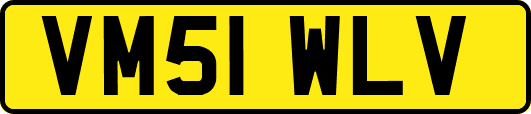 VM51WLV