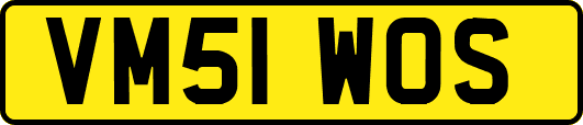 VM51WOS